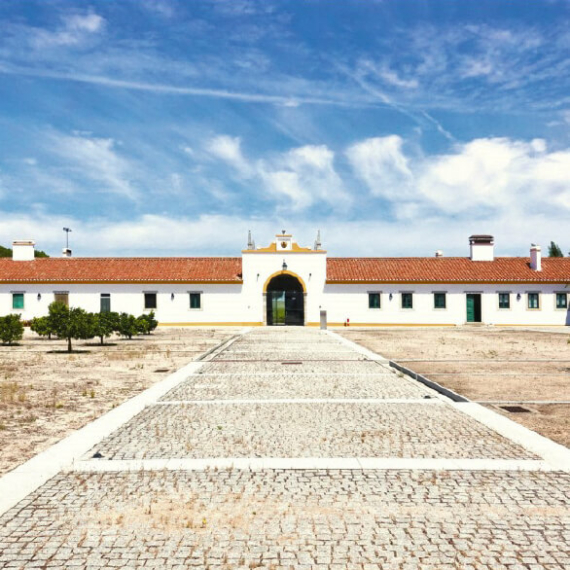 Cartuxa winery, Évora