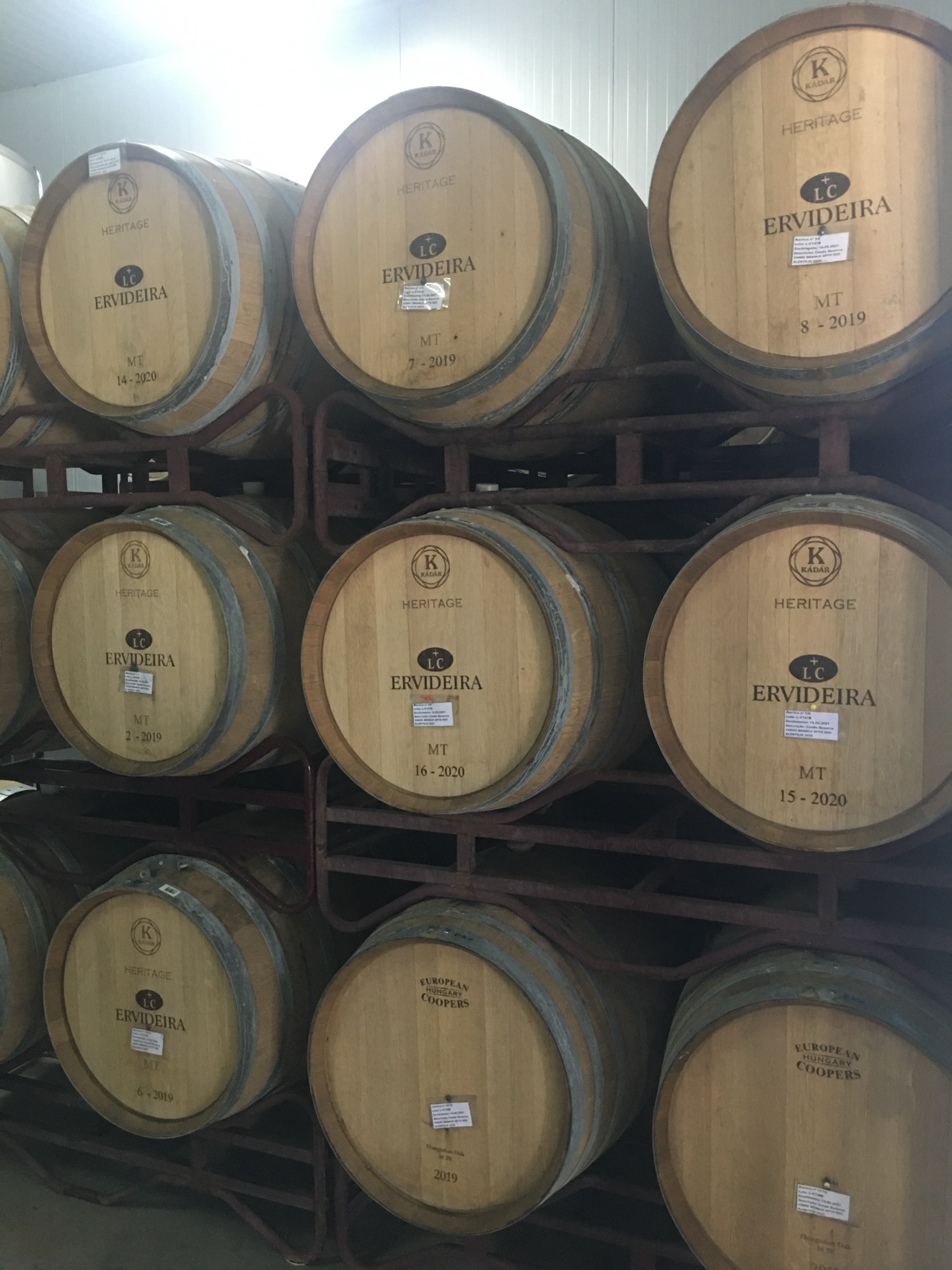 Ervideira wine barrels