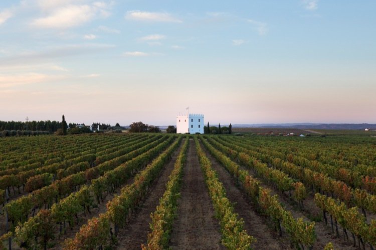 Herdade do Esporão vineyard and estate tower