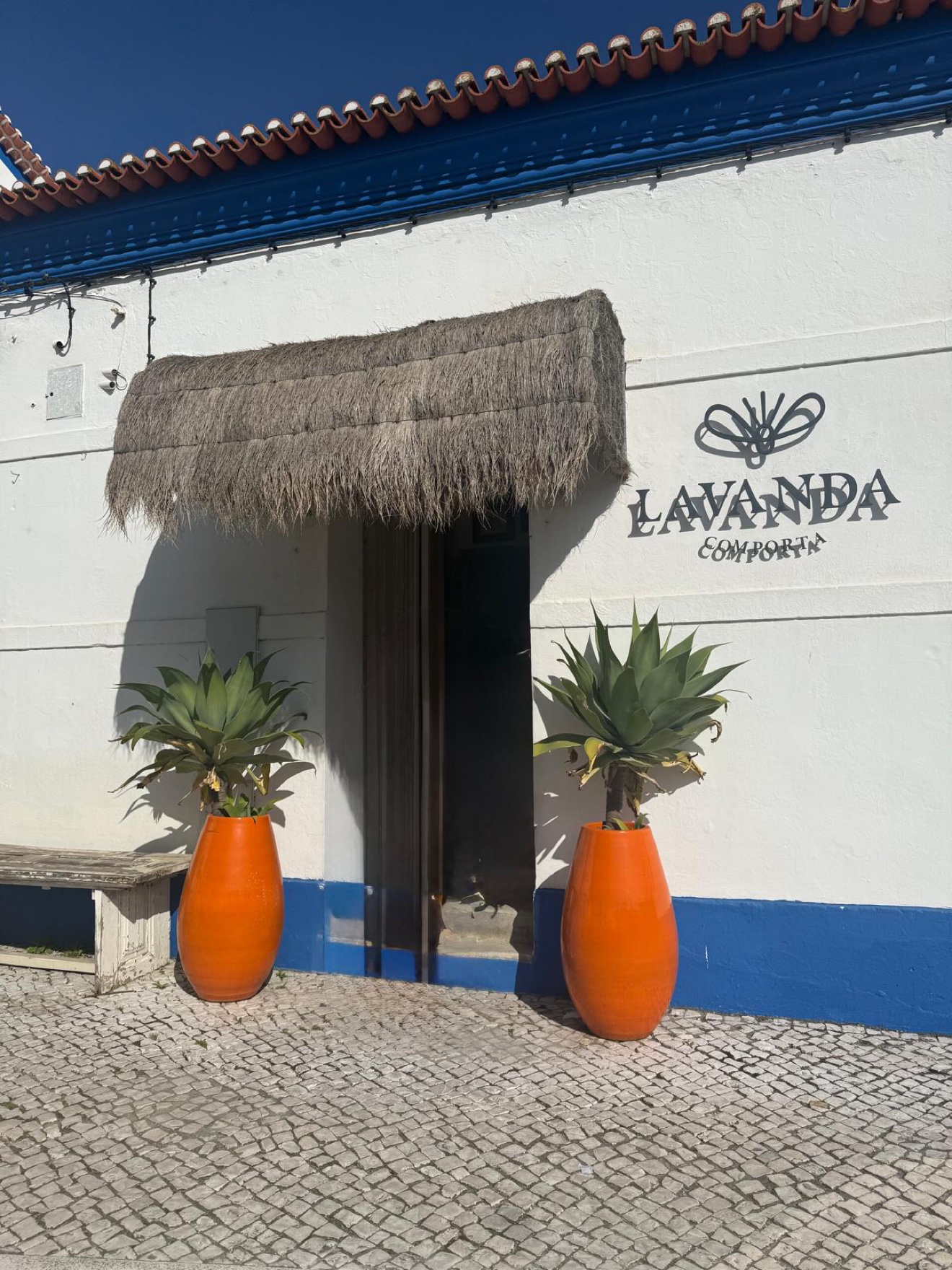 Lavanda, Comporta