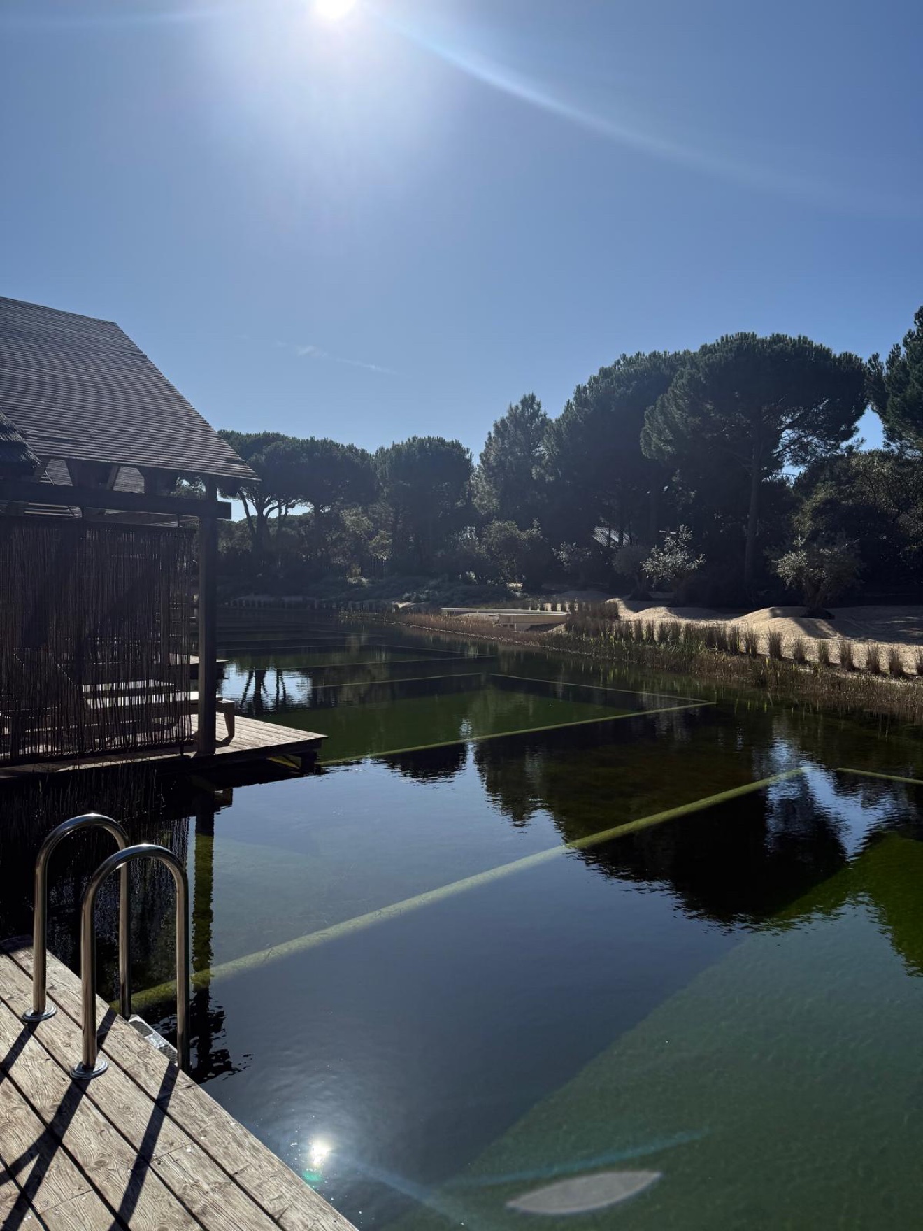 Sublime Comporta bio pool in the cork forest